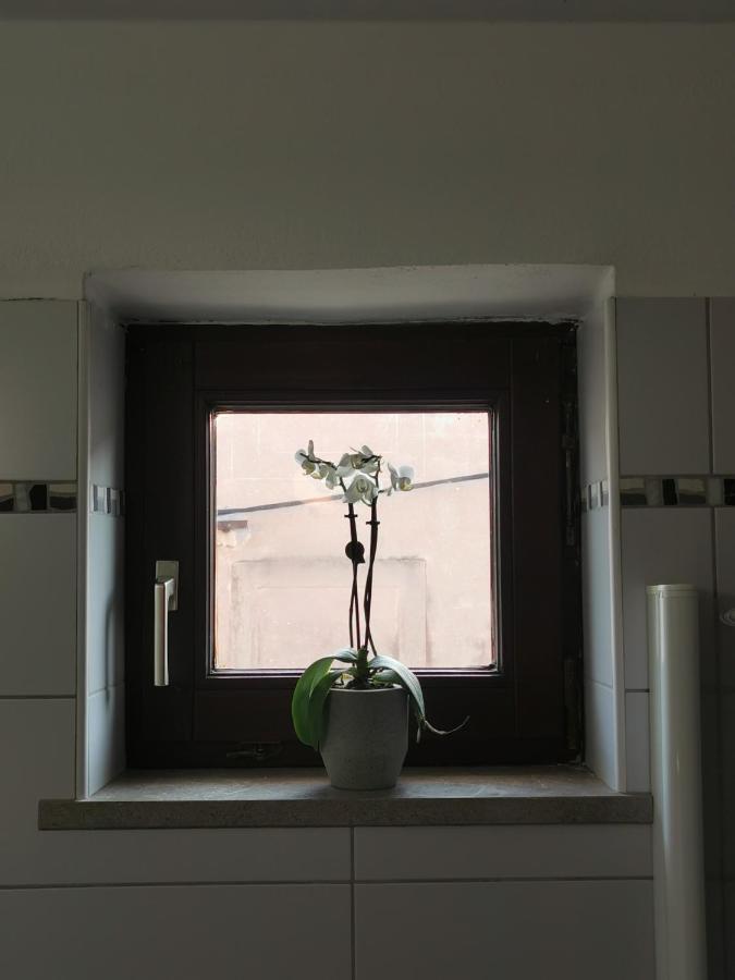 Istrian Old Town Apartment Koper Eksteriør billede